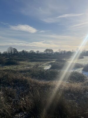 Horizon - 1 November 2026